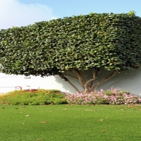 Artificial Grass Carpet Merced, California Landscape Photos, Front Yard