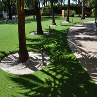 Artificial Grass Installation Chino Hills, California Dog Running, Commercial Landscape