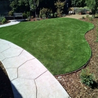 Artificial Grass Lake Arrowhead, California Lawn And Garden, Front Yard Ideas