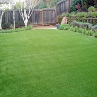 Artificial Grass Oak View, California Landscape Ideas, Backyard Makeover