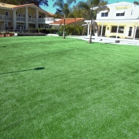 Artificial Grass Oxnard Shores, California Backyard Playground, Pool Designs