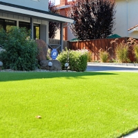 Artificial Lawn Posey, California City Landscape, Front Yard Landscape Ideas