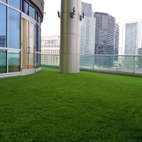 Artificial Lawn Saticoy, California Roof Top, Commercial Landscape