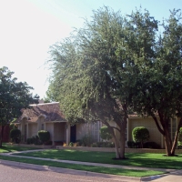 Artificial Turf Buck Meadows, California Backyard Playground, Small Front Yard Landscaping