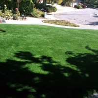 Artificial Turf Cost Bombay Beach, California Landscape Design, Front Yard