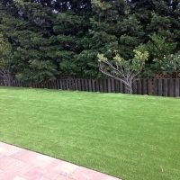 Artificial Turf Cost Wasco, California Landscape Rock, Backyard Ideas