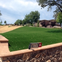 Artificial Turf Ford City, California Roof Top, Front Yard Landscape Ideas