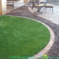 Artificial Turf View Park-Windsor Hills, California Design Ideas, Front Yard Landscape Ideas