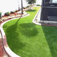 Best Artificial Grass Lake Elsinore, California Lawns, Backyard Garden Ideas