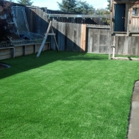 Best Artificial Grass Santee, California Landscaping Business, Backyards