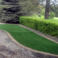 Best Artificial Grass Yettem, California Lawn And Garden