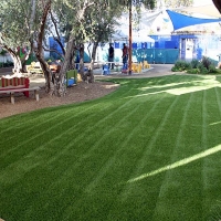 Fake Grass Carpet Alpine Village, California Design Ideas, Commercial Landscape