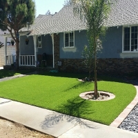 Fake Grass Carpet Coronado, California Landscape Ideas, Front Yard Landscaping