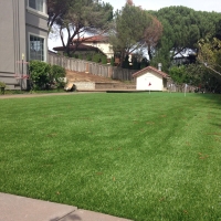 Fake Grass Harbison Canyon, California Landscape Rock, Backyards