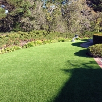 Fake Grass Sunnyslope, California Landscape Design, Front Yard Design