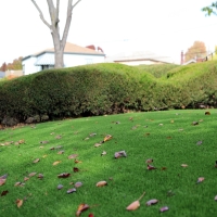 Fake Lawn Clovis, California Roof Top, Front Yard Landscaping Ideas