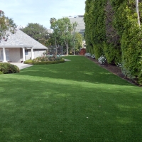 Fake Lawn Lake San Marcos, California Artificial Turf For Dogs, Small Front Yard Landscaping