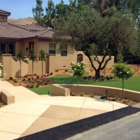 Fake Turf Tehachapi, California Lawn And Landscape, Front Yard Ideas