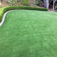 Faux Grass Jamestown, California Garden Ideas, Backyard Landscaping Ideas