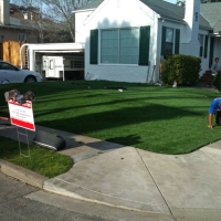 Faux Grass Tipton, California Lawn And Landscape, Front Yard Landscaping Ideas