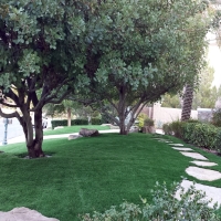 Faux Grass Ventura, California City Landscape, Small Front Yard Landscaping