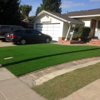 Grass Carpet Allensworth, California Lawns, Landscaping Ideas For Front Yard