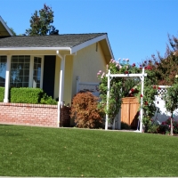 Grass Carpet China Lake Acres, California Landscape Ideas, Front Yard Landscaping