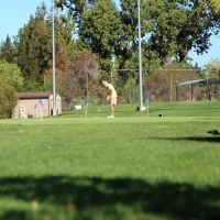 Grass Carpet National City, California How To Build A Putting Green, Commercial Landscape