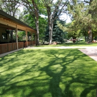 Grass Carpet Sedco Hills, California Lawn And Garden, Backyard Makeover