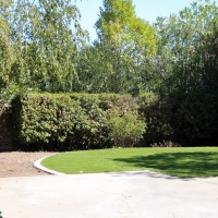 Grass Carpet Wofford Heights, California Design Ideas, Backyard Landscaping