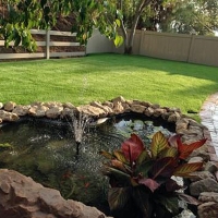 Green Lawn Madera, California Landscape Ideas, Backyard Makeover