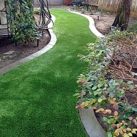 Installing Artificial Grass Amesti, California Lawn And Landscape, Backyard