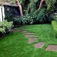 Outdoor Carpet Orange Cove, California Roof Top, Backyard Landscape Ideas