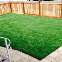 Plastic Grass Del Mar, California City Landscape, Backyard Designs