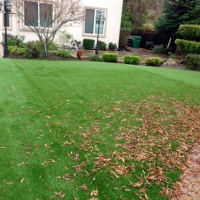 Plastic Grass Lucerne, California Garden Ideas, Backyard Designs