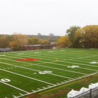 Plastic Grass West Covina, California Red Turf