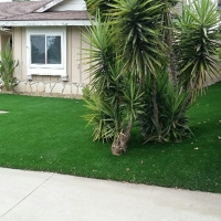 Synthetic Grass Cost Mexican Colony, California Landscape Ideas, Front Yard Ideas