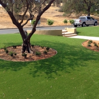 Synthetic Grass Keene, California Landscaping Business, Front Yard Landscaping Ideas