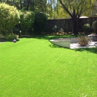 Synthetic Grass La Habra, California Rooftop, Backyard Designs