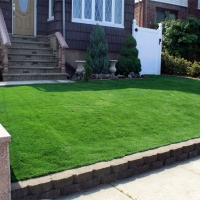 Synthetic Grass Rosamond, California Gardeners, Front Yard Landscaping Ideas