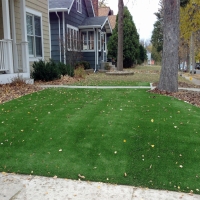 Synthetic Lawn Fillmore, California Roof Top, Front Yard Design