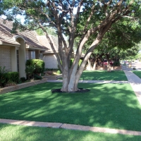 Synthetic Lawn Laguna Niguel, California Landscaping, Front Yard Ideas