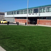 Synthetic Lawn Lawndale, California Roof Top, Commercial Landscape