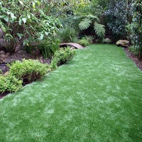 Synthetic Lawn Ramona, California Garden Ideas, Backyard Landscaping