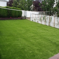 Synthetic Lawn Rialto, California City Landscape, Small Backyard Ideas