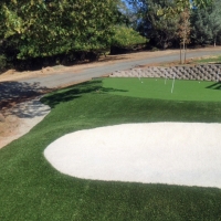 Synthetic Turf Supplier Hawthorne, California Landscape Photos, Front Yard Landscaping Ideas