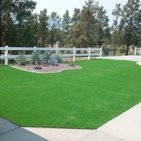 Turf Grass Whittier, California City Landscape, Landscaping Ideas For Front Yard