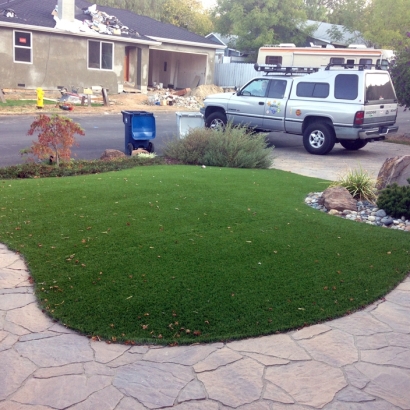 Artificial Grass Carpet Avila Beach, California Garden Ideas, Front Yard Landscape Ideas