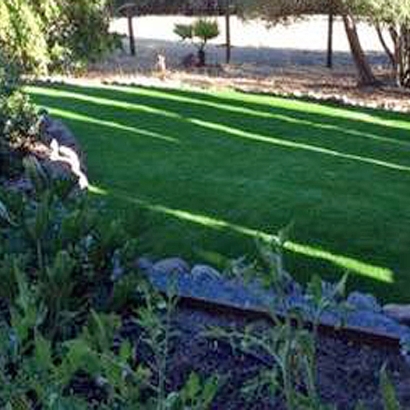 Artificial Grass Carpet Fuller Acres, California Landscaping, Backyards