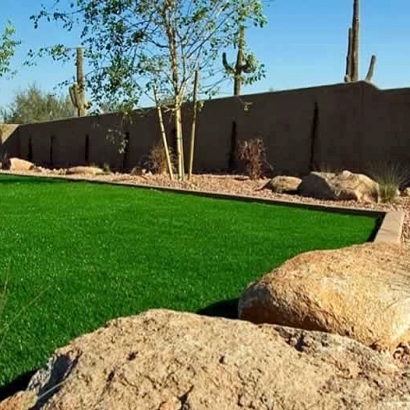 Artificial Grass Carpet Jamul, California Landscape Design, Backyard Landscaping